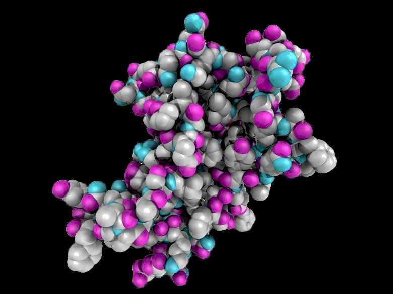 Growth Hormone Secretagogues