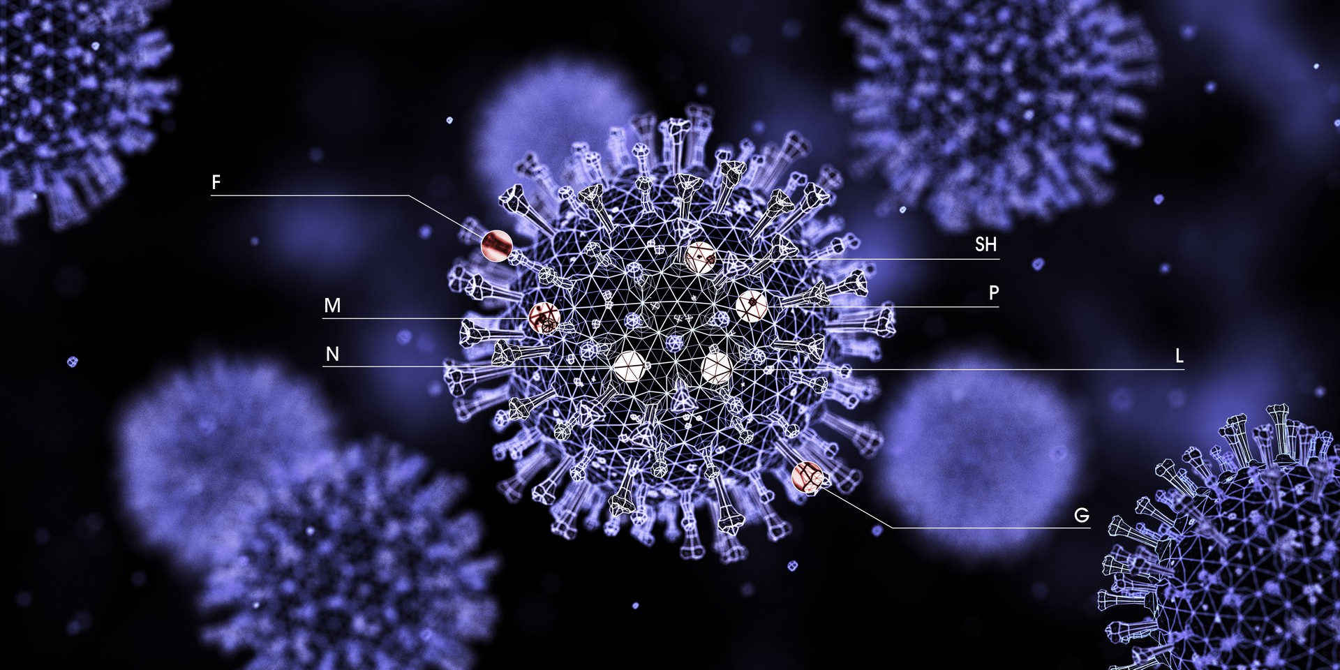 Virus. Digital Biotechnology Innovation Concept