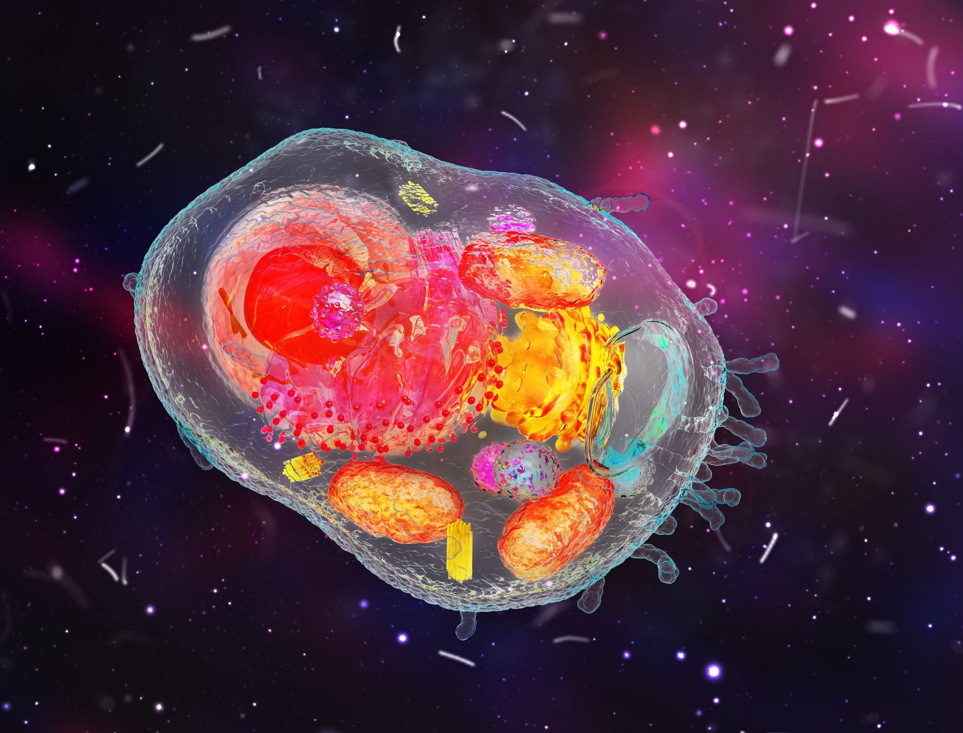 model of Cell structure 3d illustration
