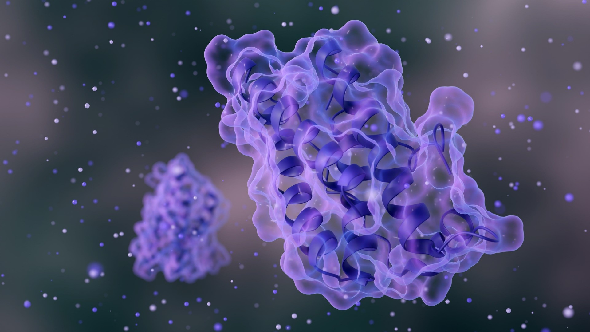 3D rendering of complex leptin protein molecular structures 3D rendering of complex leptin protein molecular structures